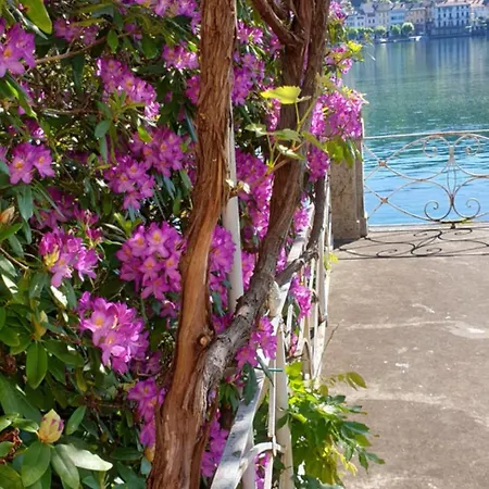La Casa Dell'isola *