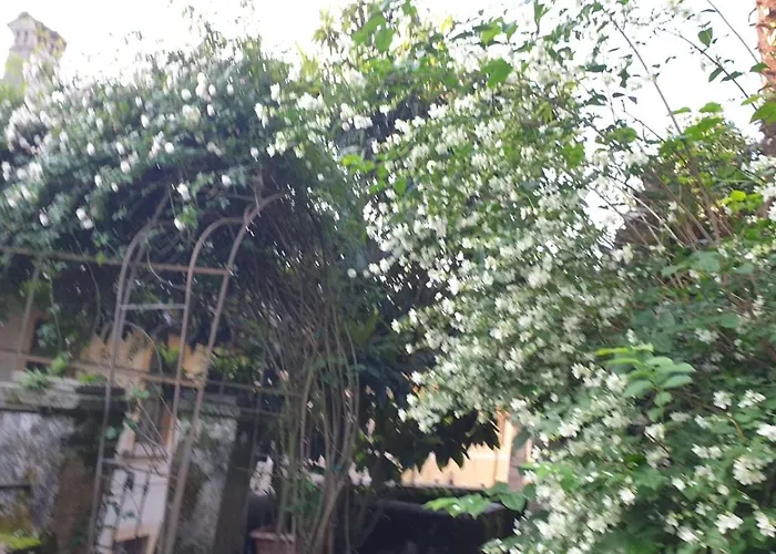 La Casa Dell'isola Villa *